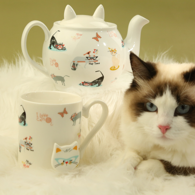 cat-themed tea set-teapot and tea cup