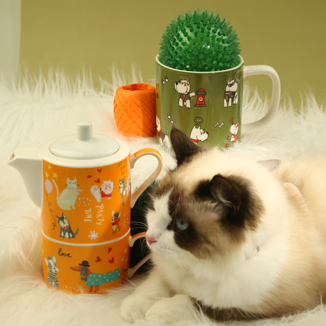 super cute Tea for One set!