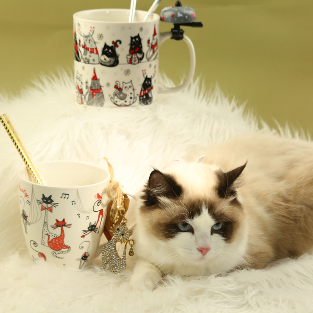 cat keychain & jumbo sized mug
