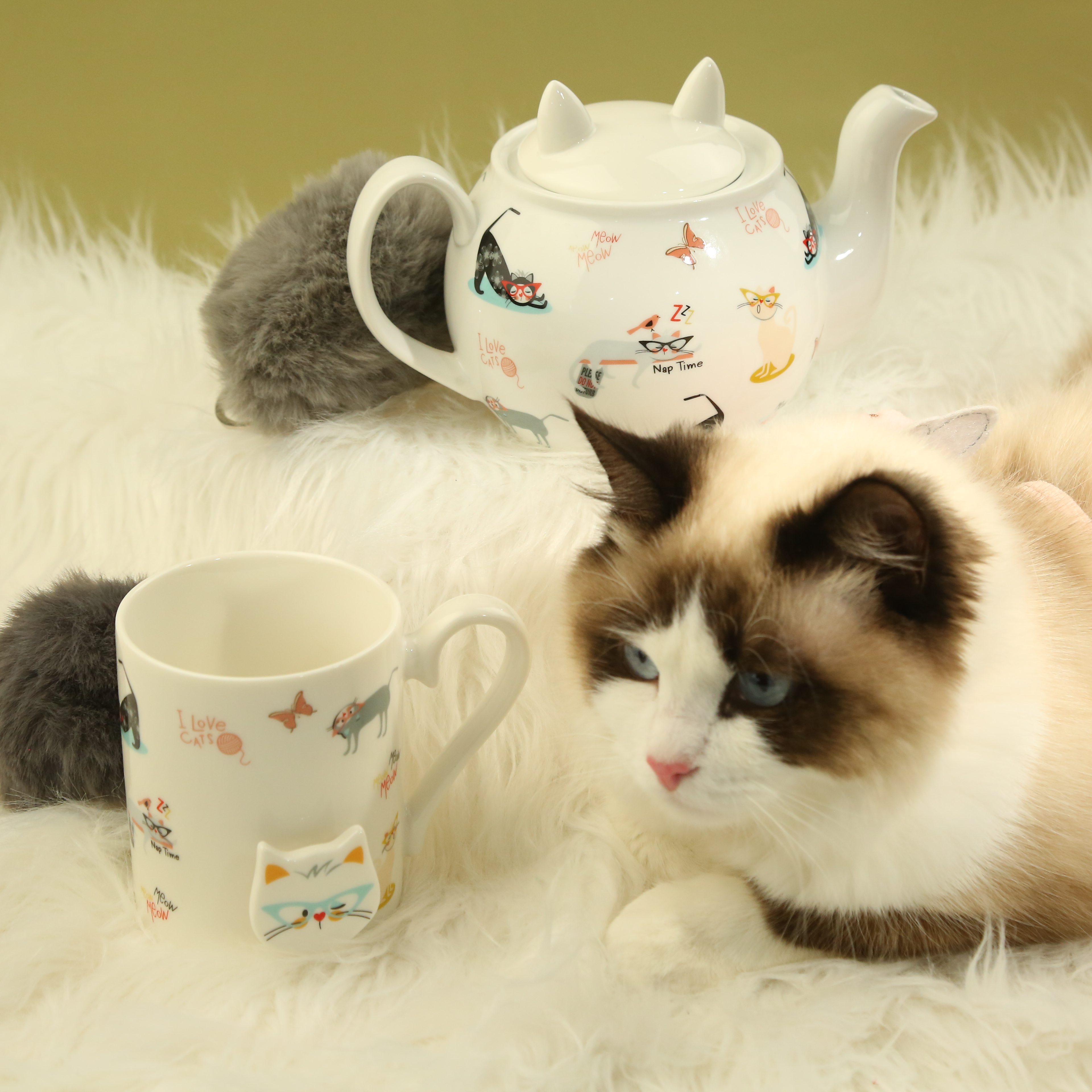 cat-themed tea set-teapot and tea cup